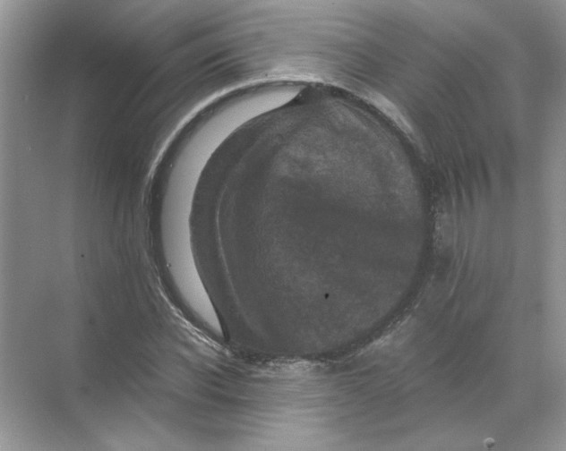 X0000071760926200607220006