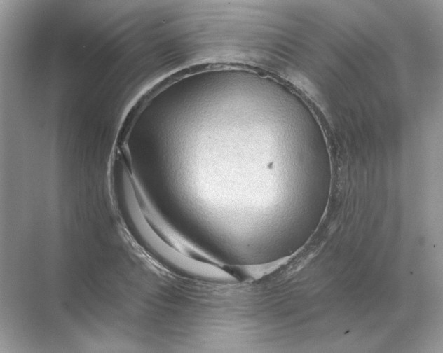 X0000071760928200607220006