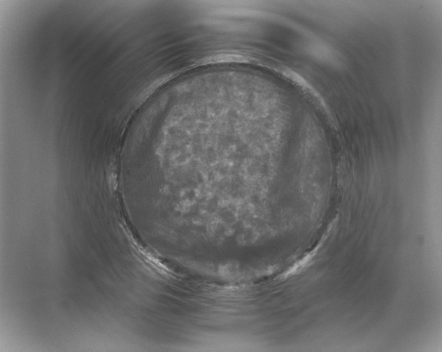 X0000071760929200607220006