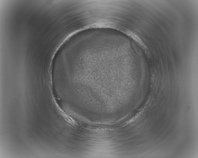 X0000071760934200607220006