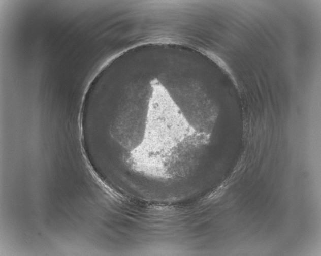 X0000071760935200607220006