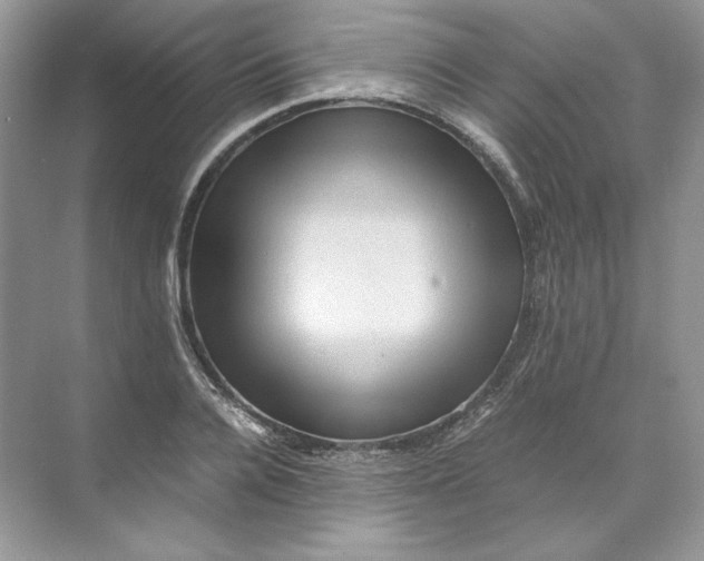 X0000071760936200607220006