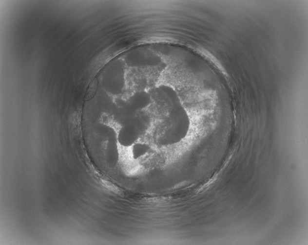 X0000071760937200607220006