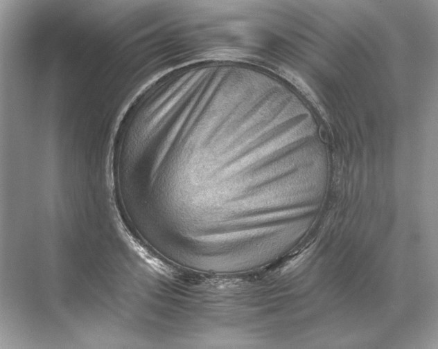 X0000071760939200607220006