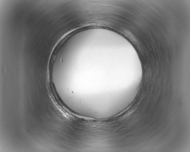 X0000071760940200607220006