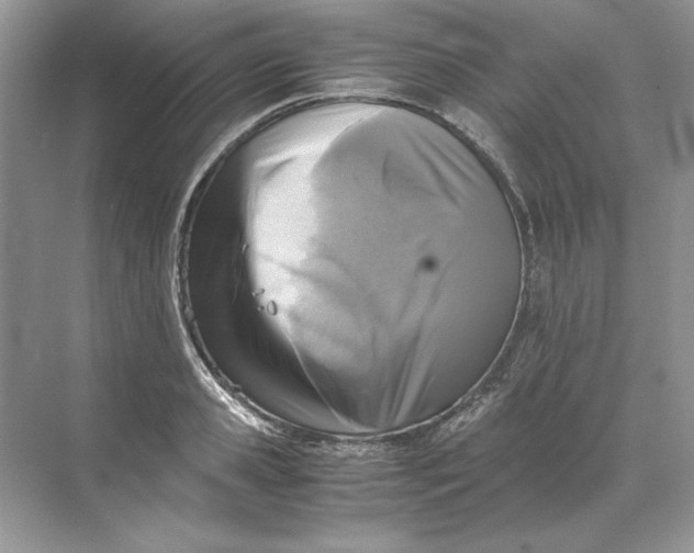 X0000071760941200607220006