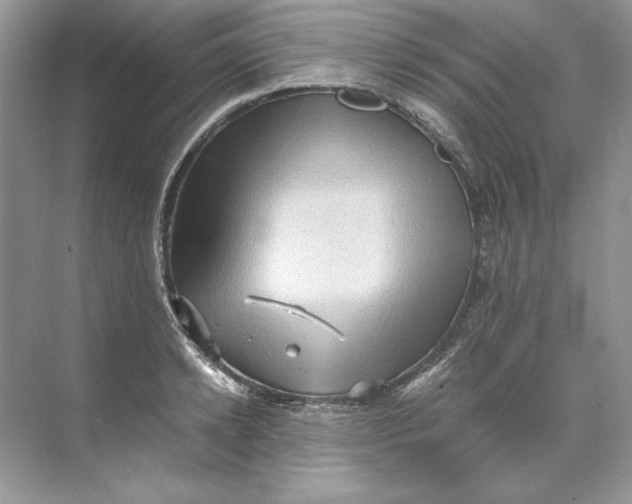 X0000071760942200607220006