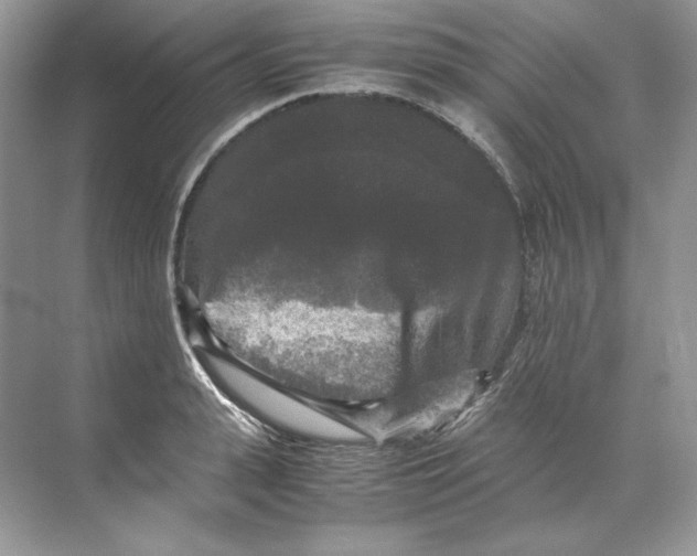 X0000071760943200607220006