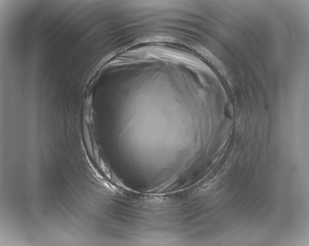 X0000071760945200607220006