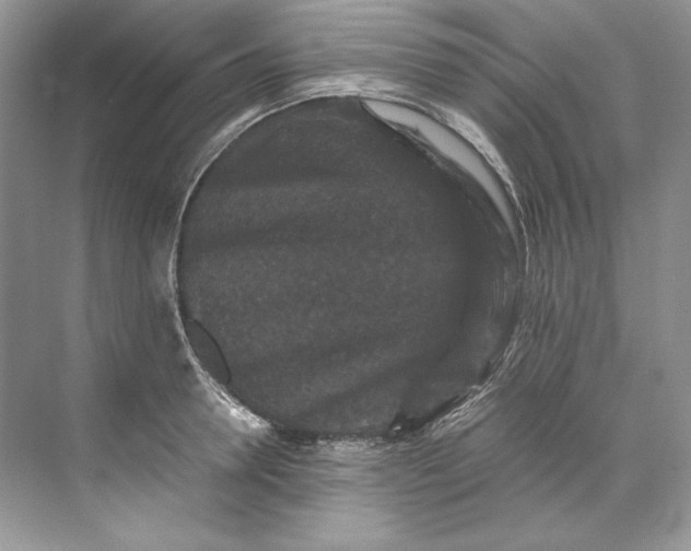 X0000071760946200607220006