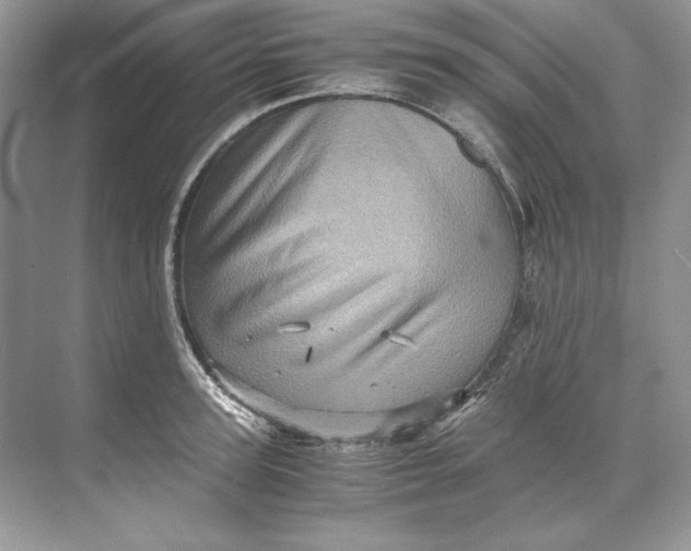 X0000071760947200607220006