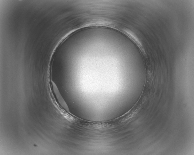 X0000071760948200607220006