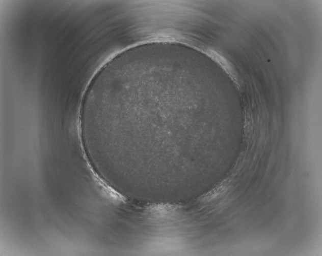 X0000071760950200607220006