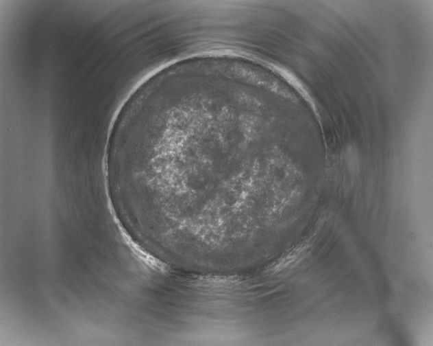 X0000071760951200607220006