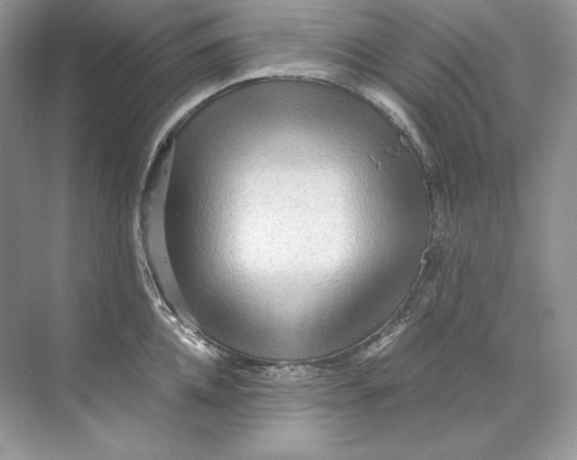 X0000071760952200607220006