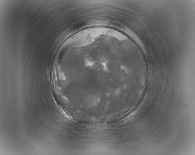 X0000071760953200607220006