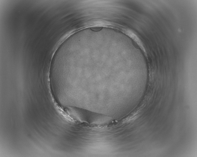 X0000071760954200607220006