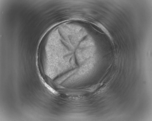 X0000071760955200607220006