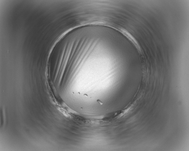 X0000071760956200607220006