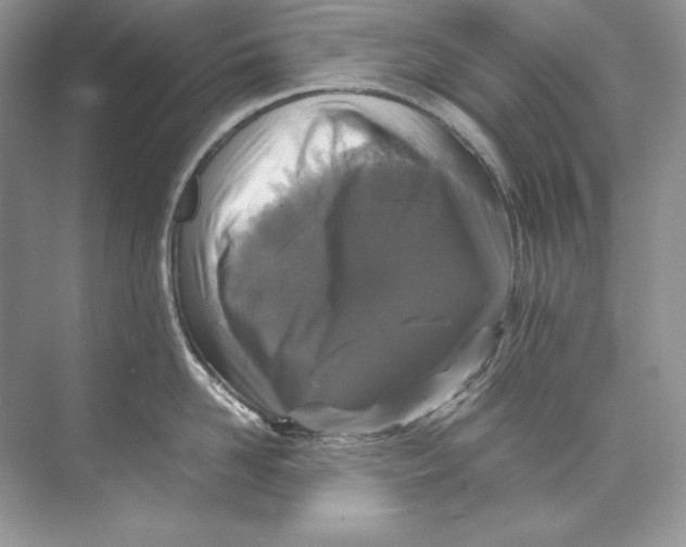 X0000071760958200607220006