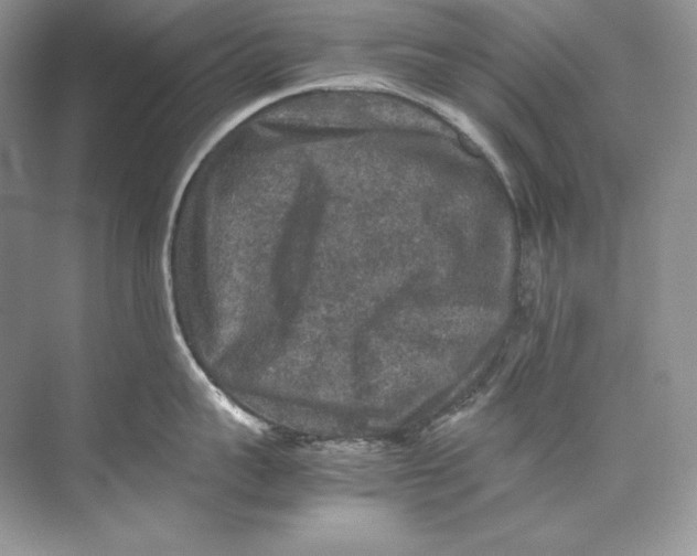 X0000071760959200607220006