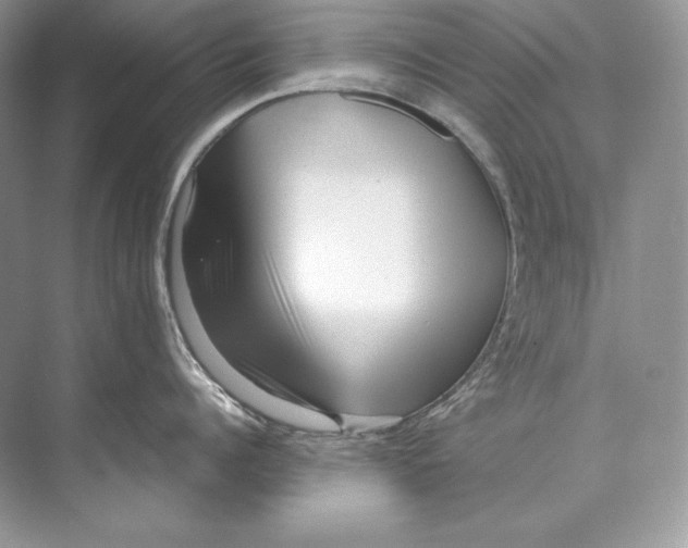 X0000071760960200607220006