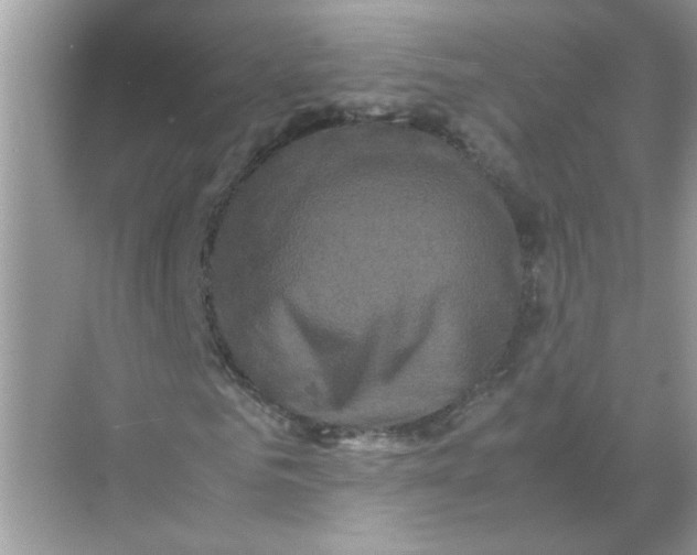 X0000071760961200607220005