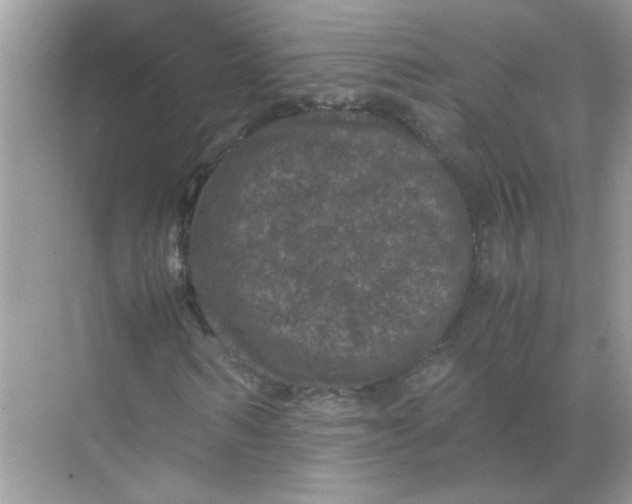 X0000071760962200607220005