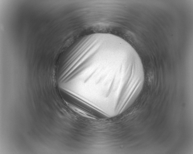 X0000071760964200607220005