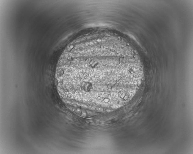 X0000071760967200607220005