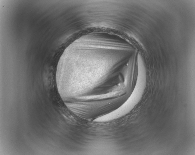 X0000071760968200607220005