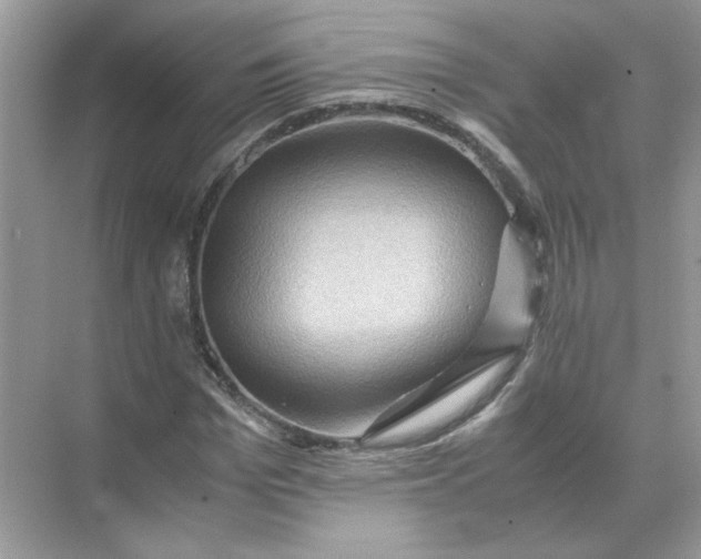 X0000071760969200607220005