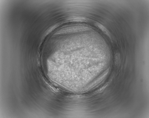 X0000071760970200607220005