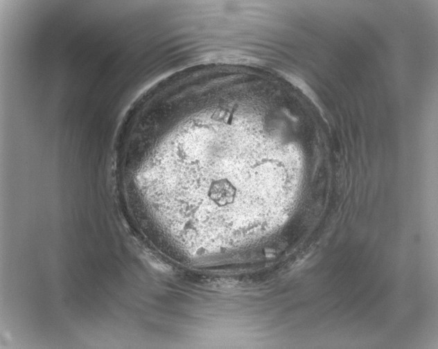 X0000071760971200607220005