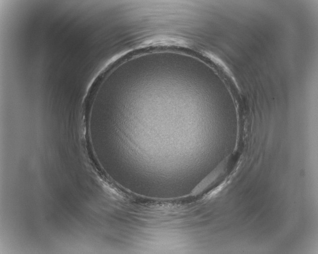 X0000071760973200607220005