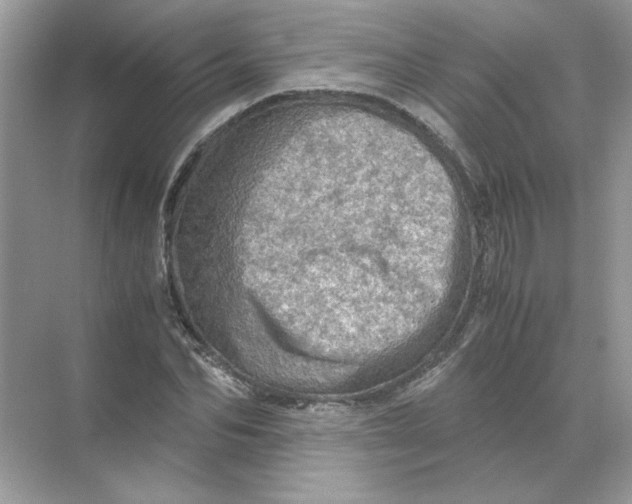 X0000071760974200607220005