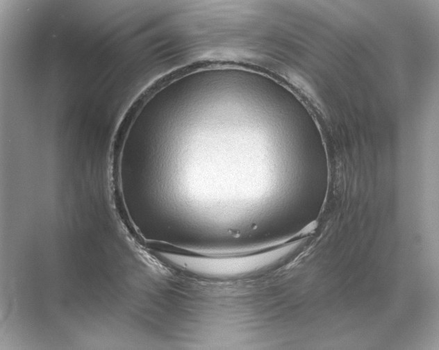 X0000071760976200607220005