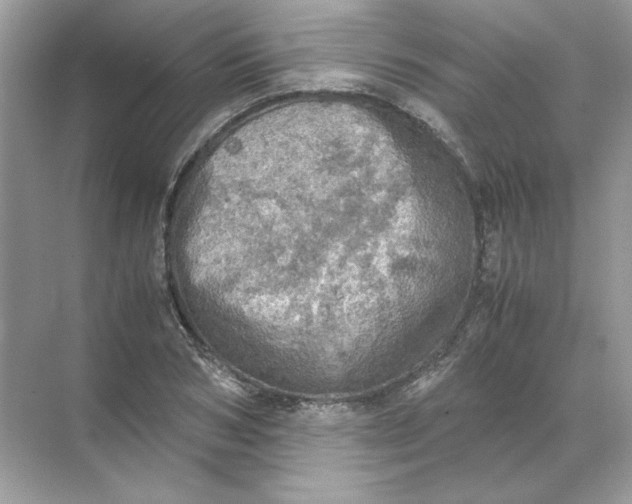 X0000071760978200607220005