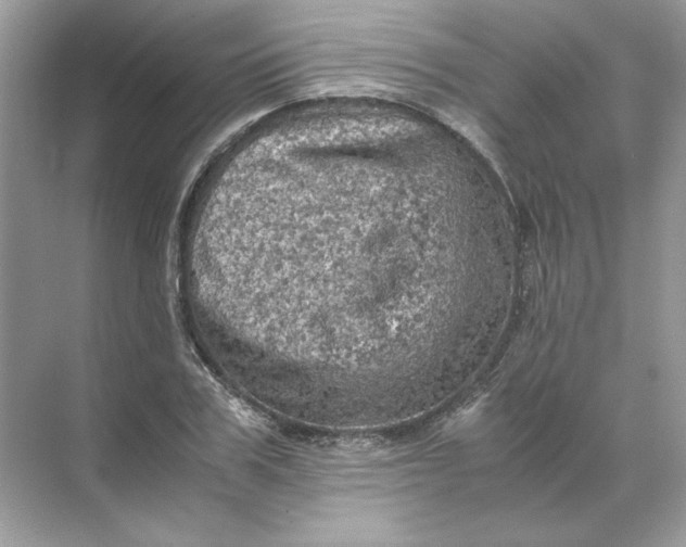 X0000071760979200607220005