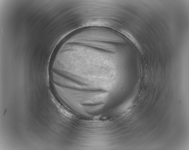 X0000071760980200607220005