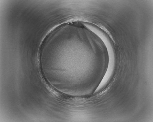 X0000071760981200607220005