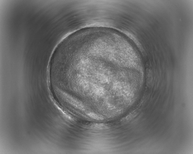 X0000071760982200607220005