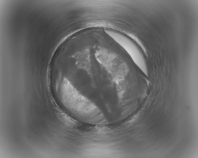 X0000071760983200607220005