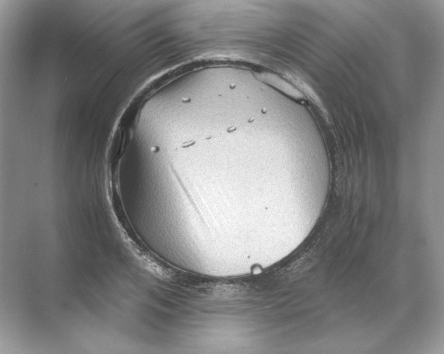 X0000071760984200607220005