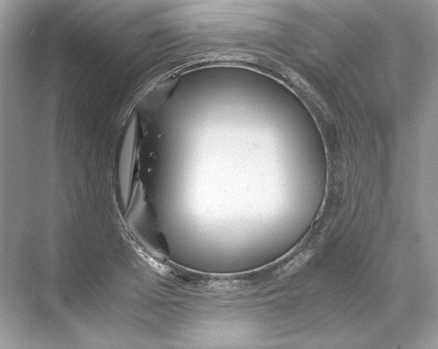 X0000071760985200607220005