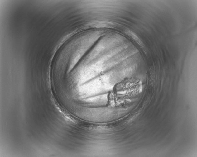 X0000071760986200607220005