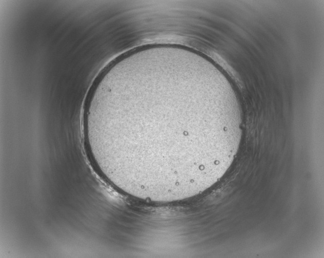 X0000071760988200607220005