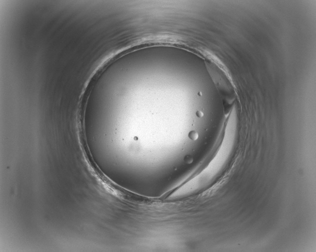 X0000071760989200607220005