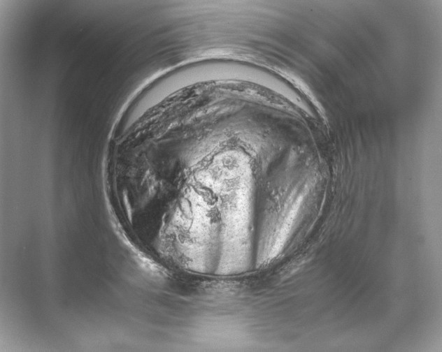 X0000071760991200607220005