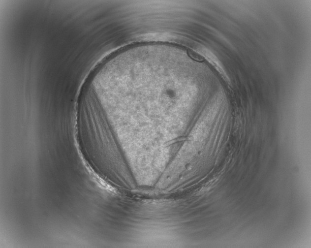 X0000071760992200607220005